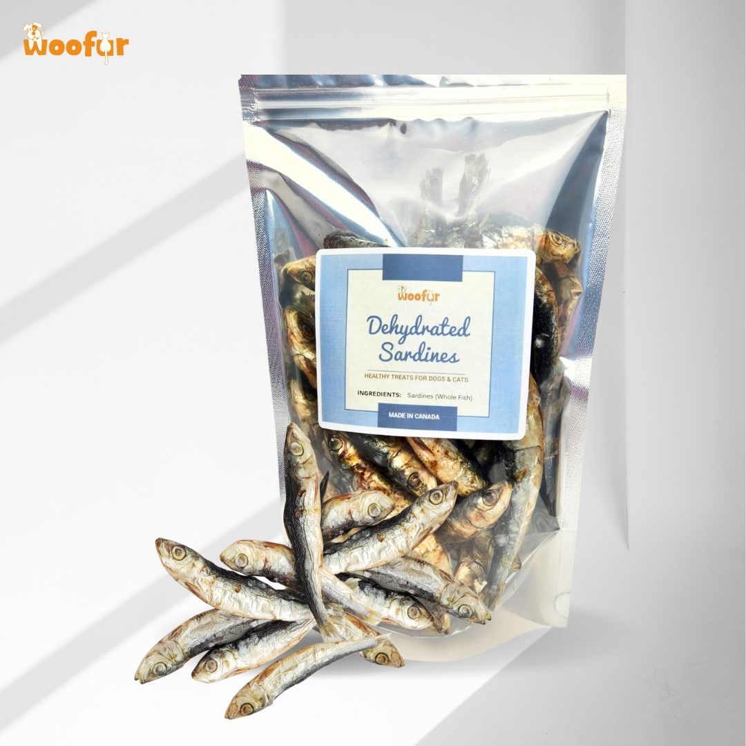 Dehydrated sardines hotsell for dogs