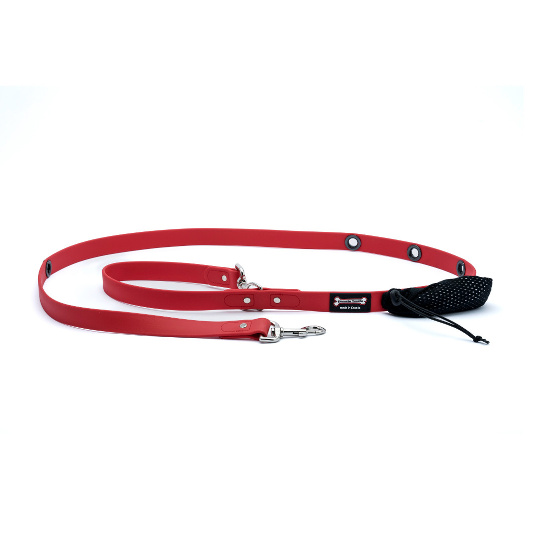 Smoochy Poochy -  1" Hands-Free Polyvinyl Waterproof Leash