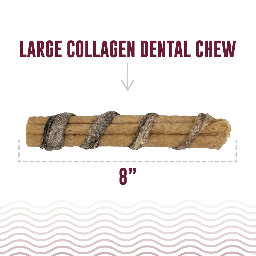 Icelandic+ Beef Collagen Dental Chew Wrapped With Cod Skin 8"