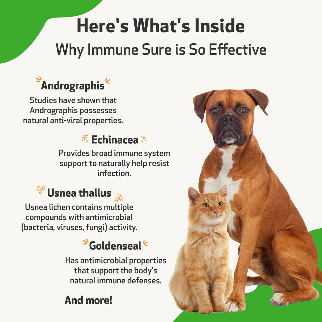 Pet Wellbeing - Immune SURE (Dogs)