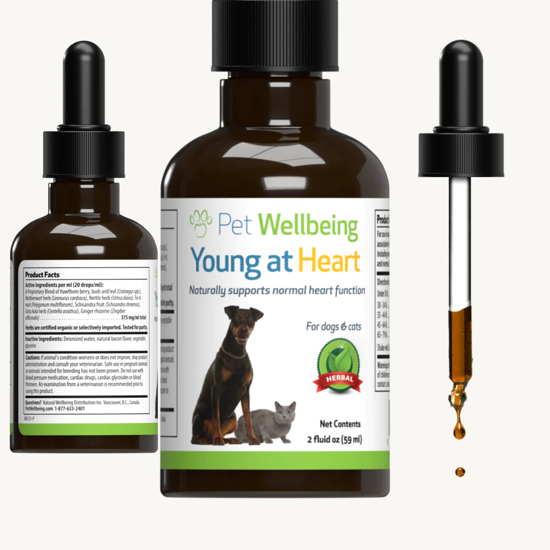 Pet Wellbeing - Young at Heart - for Healthy Heart Maintenance in Dogs