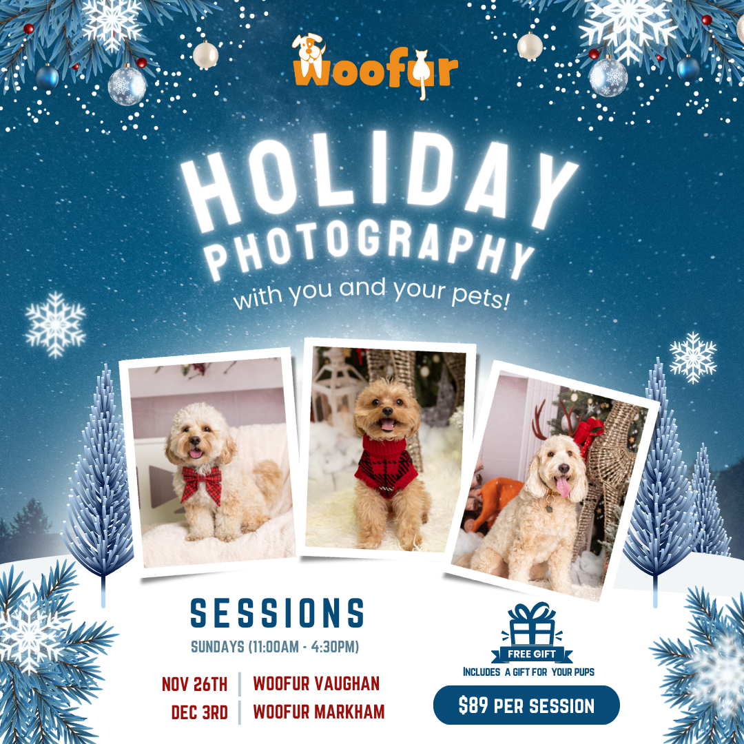 Professional Holiday Photoshoot