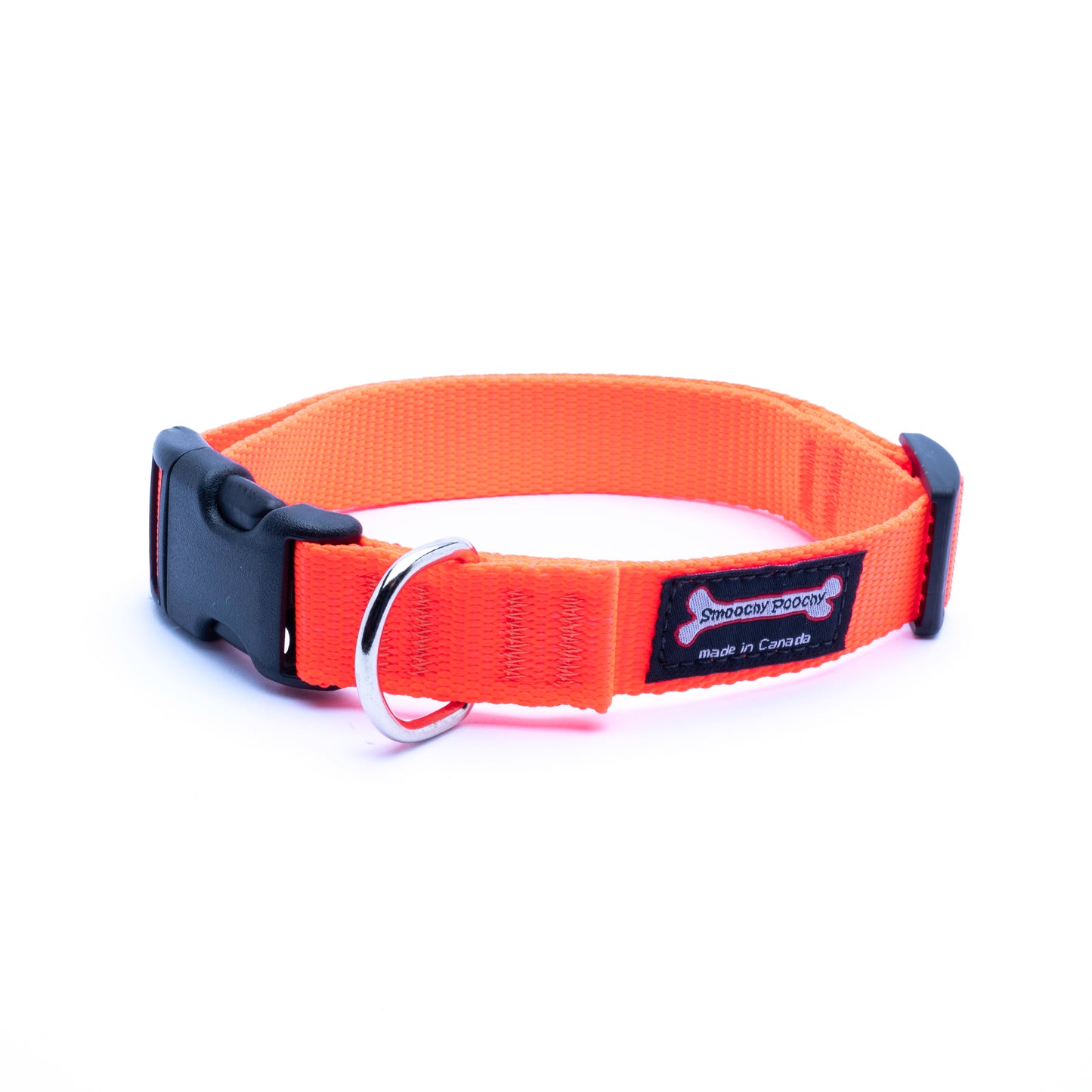 Smoochy Poochy - Nylon Medium Collar