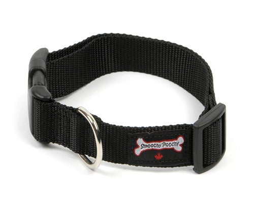 Smoochy Poochy -  3/8" XS Nylon Collar