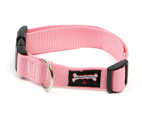 Smoochy Poochy -  3/8" XS Nylon Collar