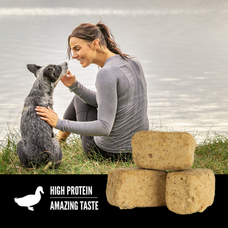 ORIJEN FD TREATS - DUCK RECIPE - Woofur Natural Pet Products