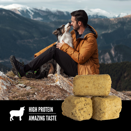 ORIJEN FD TREATS - BEEF RECIPE - Woofur Natural Pet Products