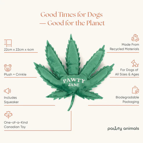 Pawty Animals - Pawty Jane