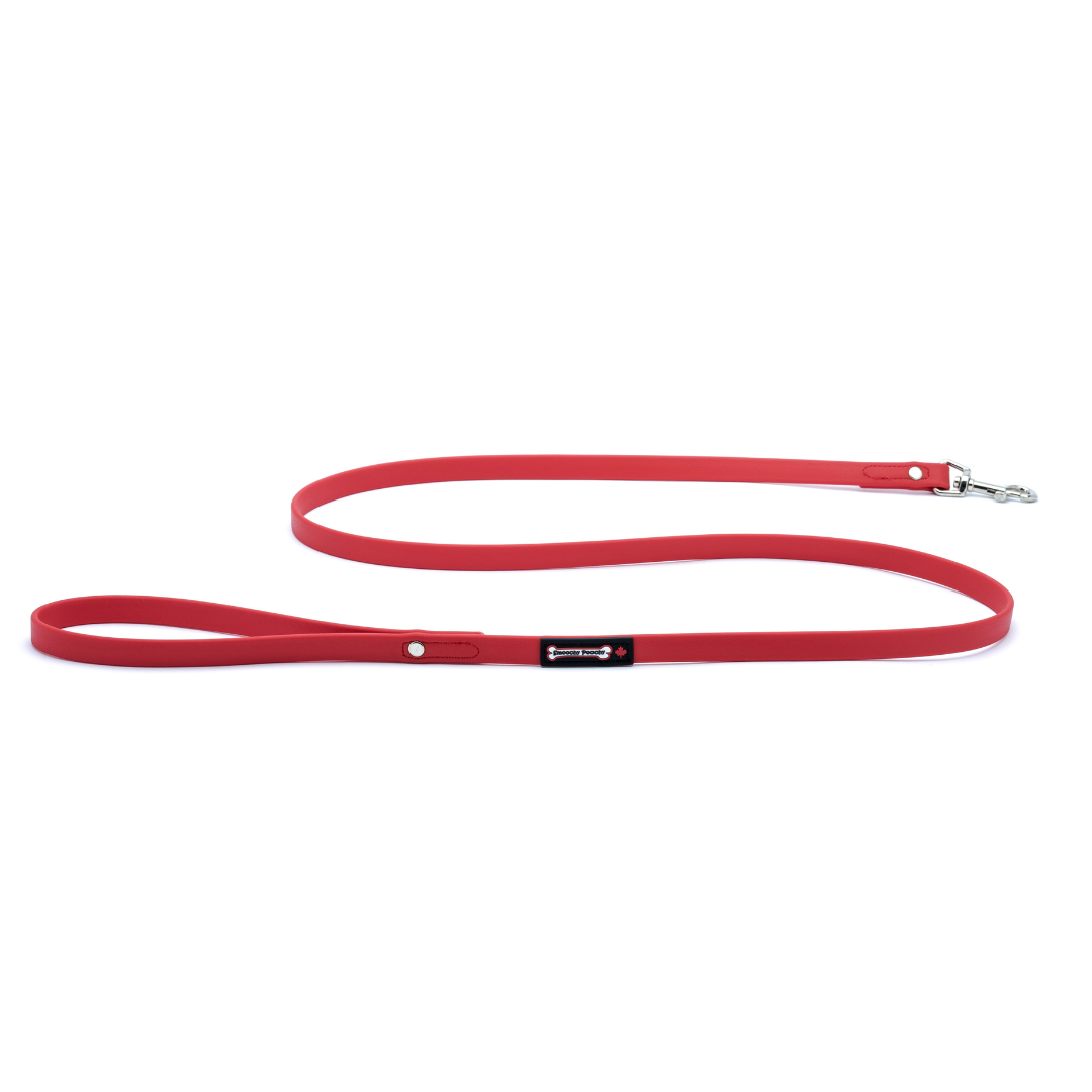 Smoochy Poochy -  5/8" Polyvinyl Waterproof Leash