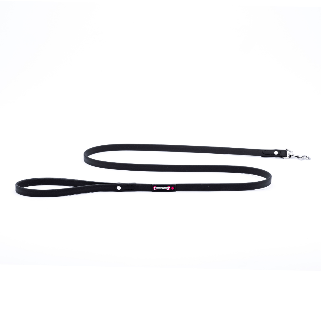 Smoochy Poochy -  5/8" Polyvinyl Waterproof Leash