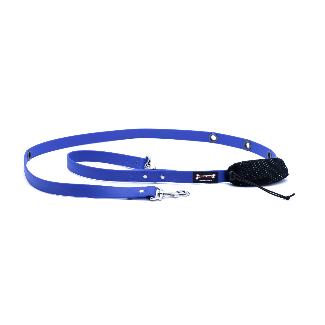 Smoochy Poochy - 1" x 6' Hands Free Polyvinyl Leash