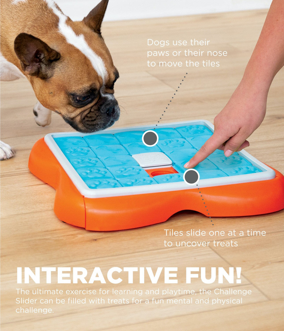 Outward Hound - Nina Ottosson Challenge Slider