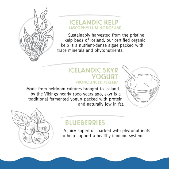Icelandic+ Fish Bar Kelp & Skyr 2.5oz
