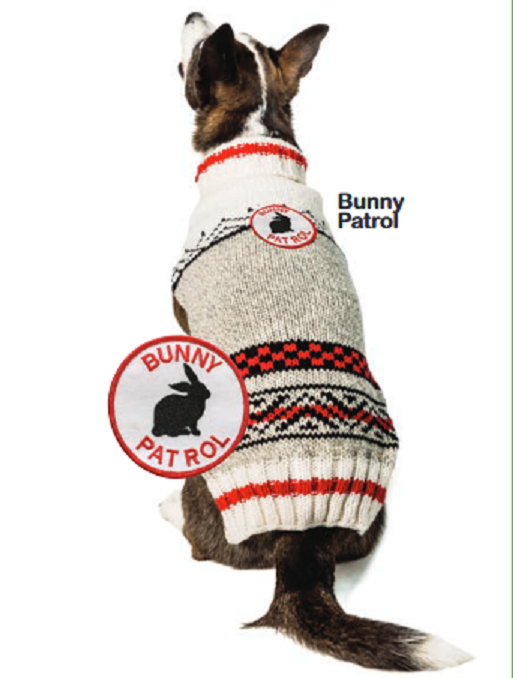 Dog 2025 bunny sweater