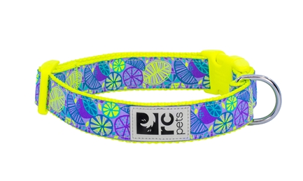 RC Pets - Clip Collar - Citrus