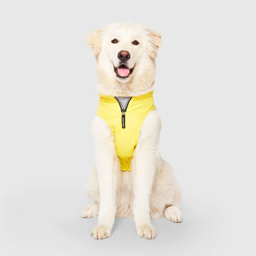 Canada Pooch - Grow-With-Me-Raincoat Yellow
