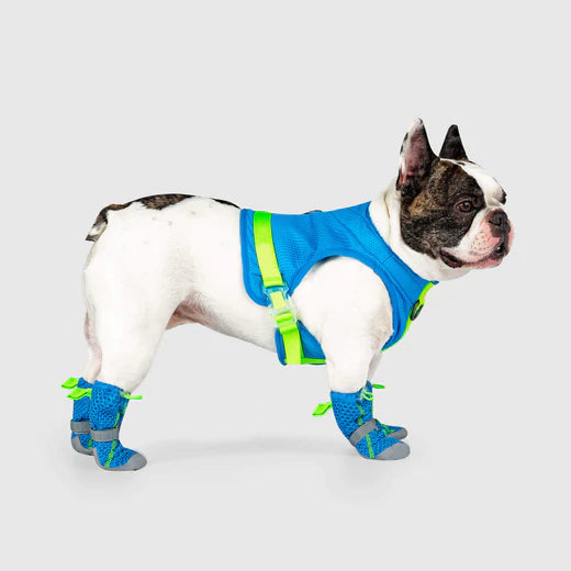 Canada Pooch - Cooling Boots Blue