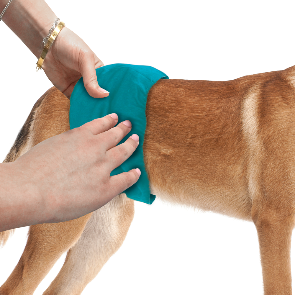 Simple Solution - Washable Male Wrap - Chubbs Bars, - pet shampoo, Woofur Natural Pet Products - Chubbs Bars Company, Woofur Natural Pet Products - Chubbs Bars Canada
