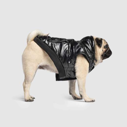 Canada Pooch - Shiny Puffer Vest (Black)