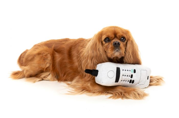 FuzzYard - The Brick Dog Toy