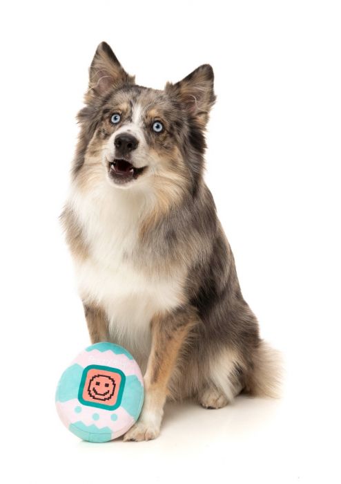 FuzzYard - Tamadogchi Dog Toy