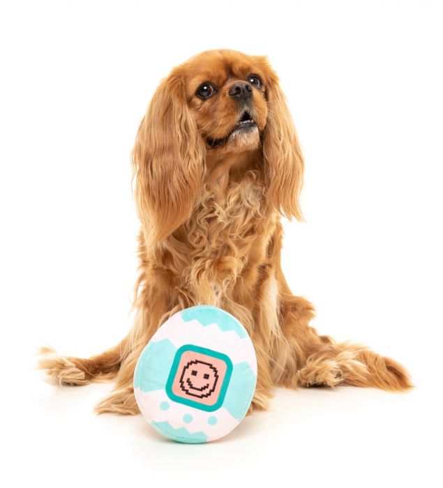 FuzzYard - Tamadogchi Dog Toy