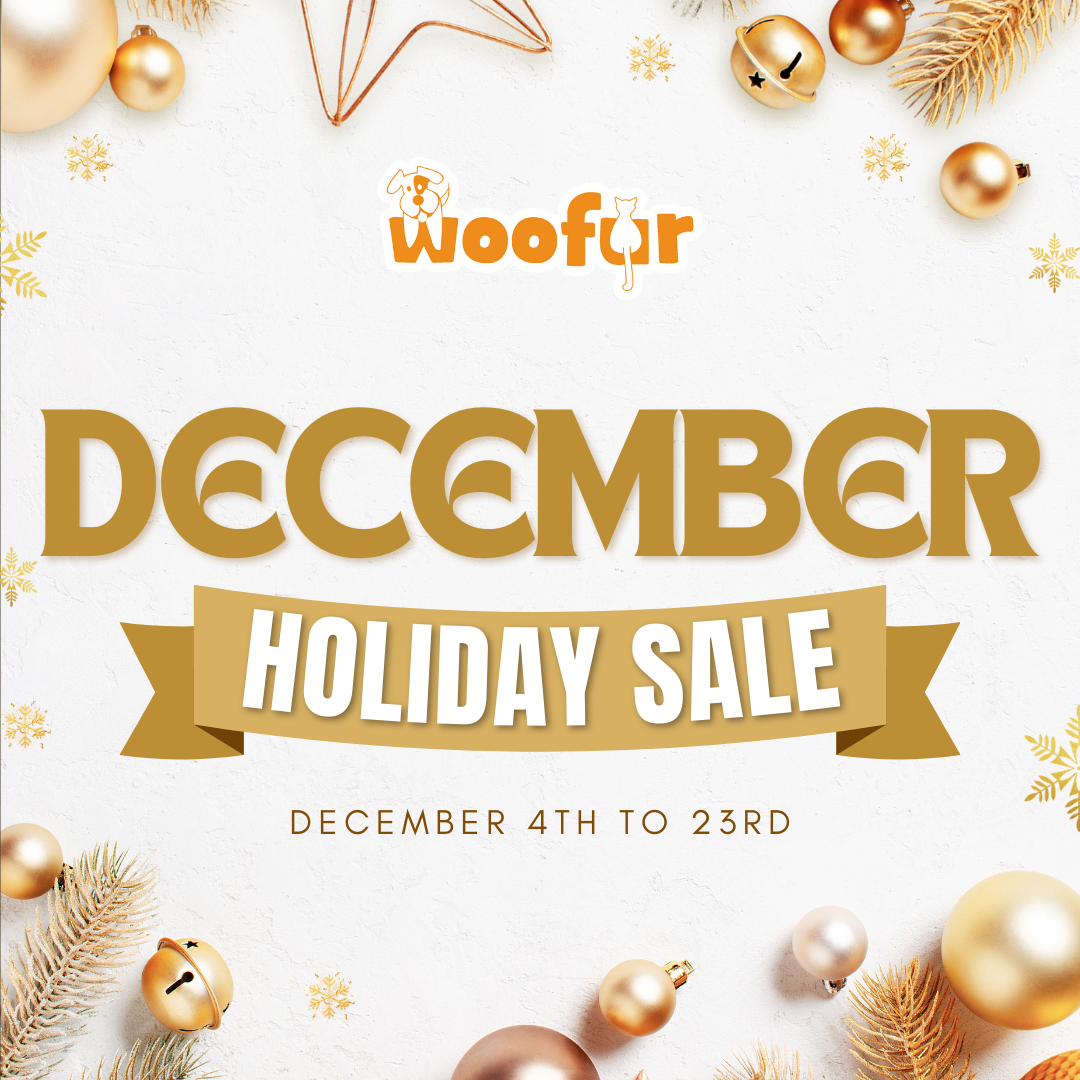 Collars, Harnesses, & Leashes