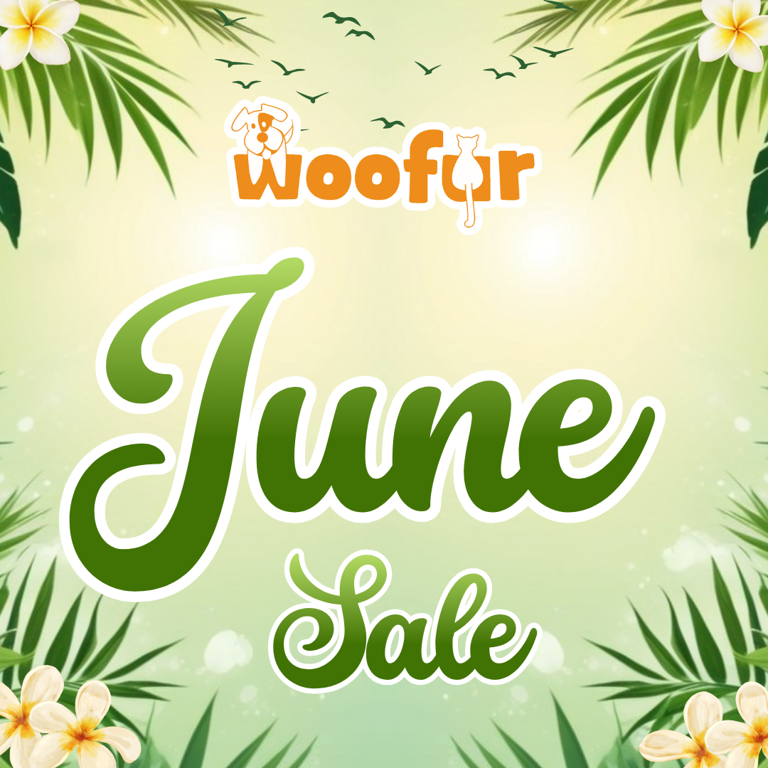 JUNE SALE