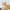 Cat Products