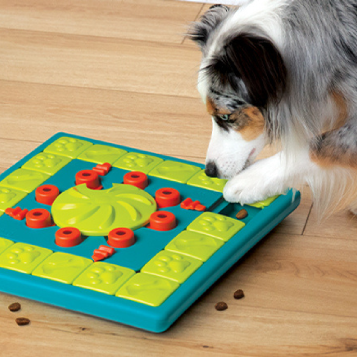 Snuffle Mat and Puzzles