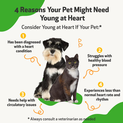Pet Wellbeing - Young at Heart - for Healthy Heart Maintenance in Dogs