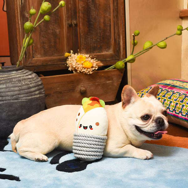HugSmart: Fiesta Chewsday - Burrito