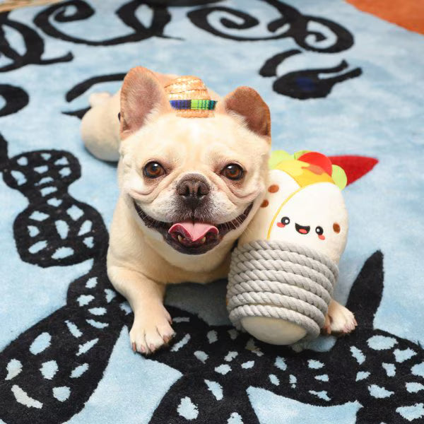 HugSmart: Fiesta Chewsday - Burrito