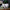 HugSmart: Food Party - Kiwi Juice