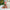 HugSmart: Super Ball Happy Woofmas - Santa