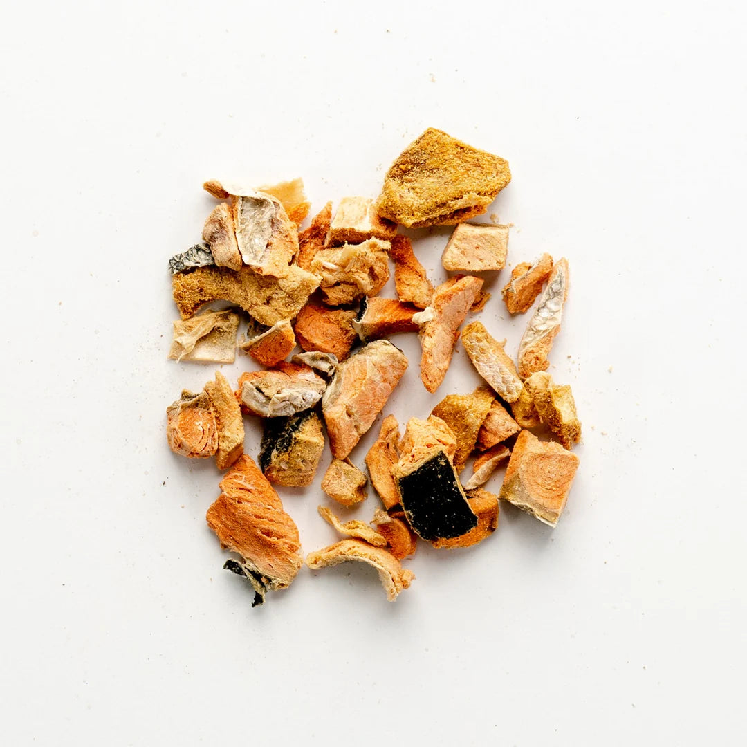 Green Juju - Freeze Dried Salmon Trainers