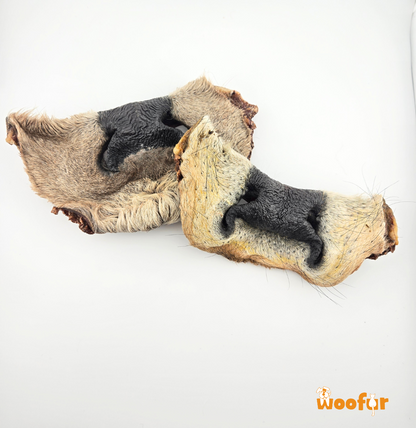 Woofur - Cow Snouts