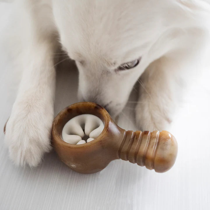 Benebone - Bacon Pawplexer