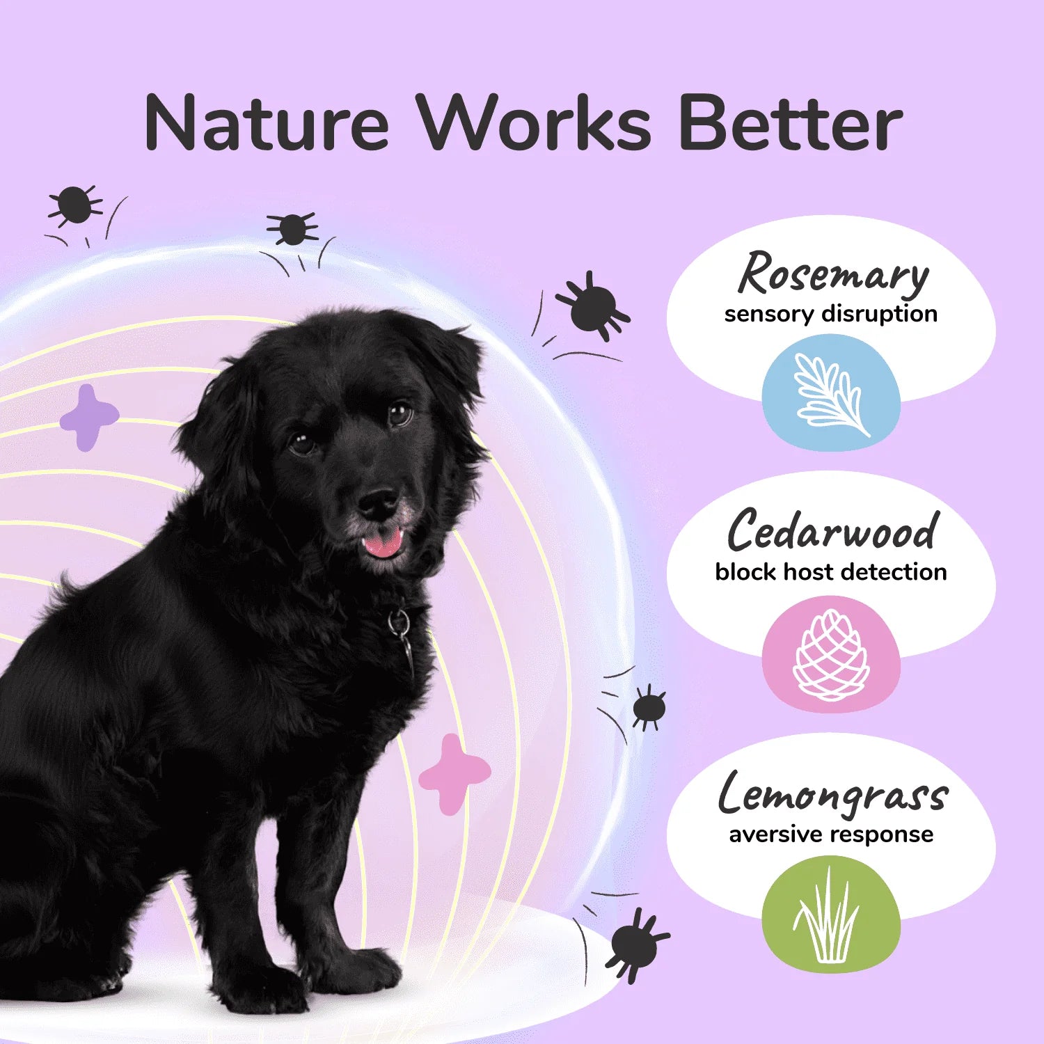 Kin + Kind - Flea+Tick Protect Spray (Lemongrass) - Woofur Natural Pet Products