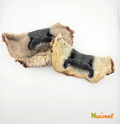 NuWoof - Cow Snouts