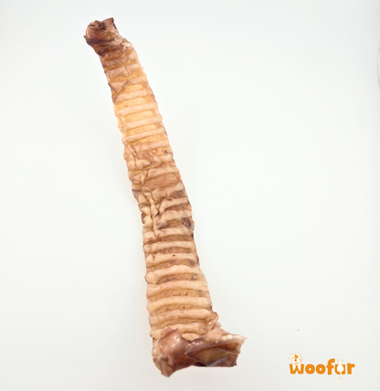 Woofur - Tracheal Stick