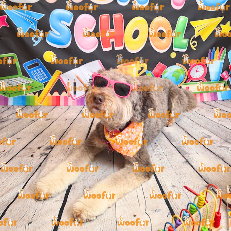 Woofur Daycare Event Photos