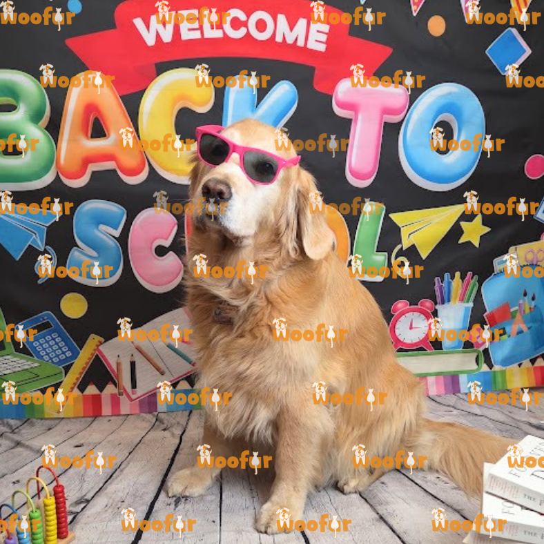 Woofur Daycare Event Photos