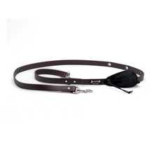 Load image into Gallery viewer, Smoochy Poochy -  1&quot; Hands-Free Polyvinyl Waterproof Leash