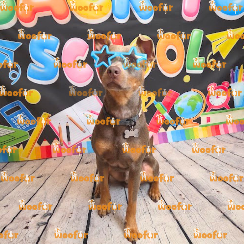 Woofur Daycare Event Photos