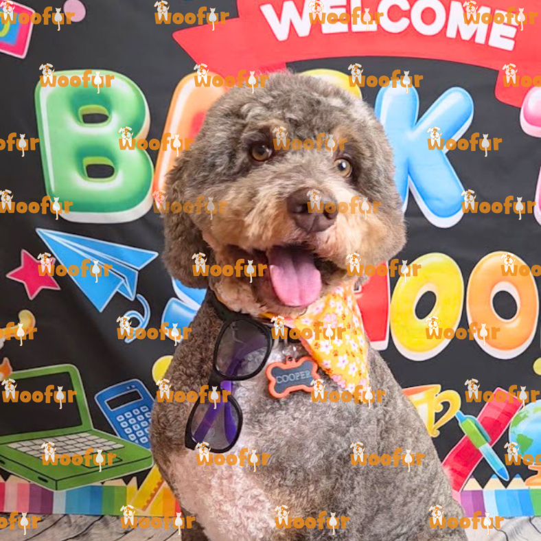 Woofur Daycare Event Photos