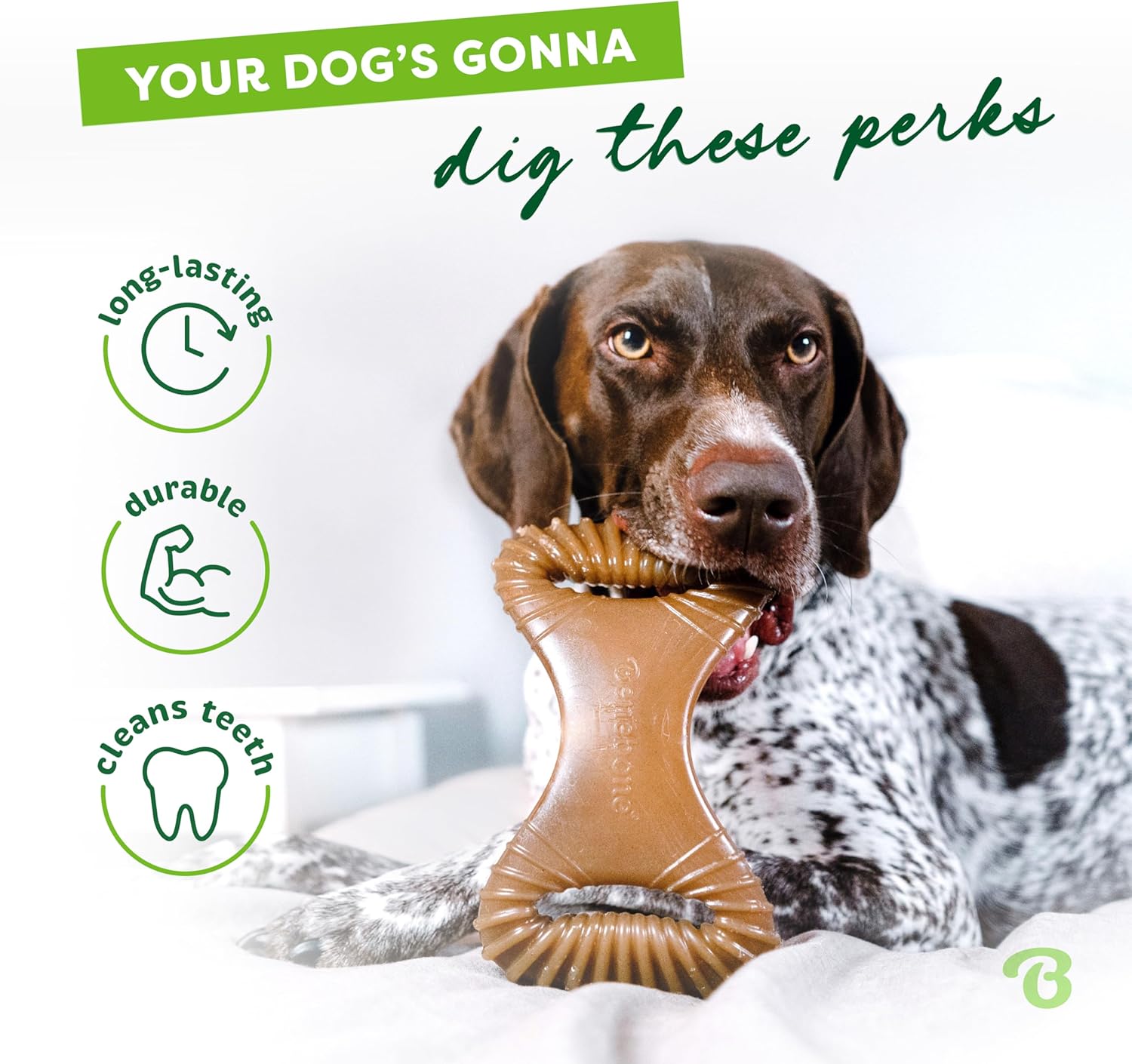 Benebone - Dental Chew - Large