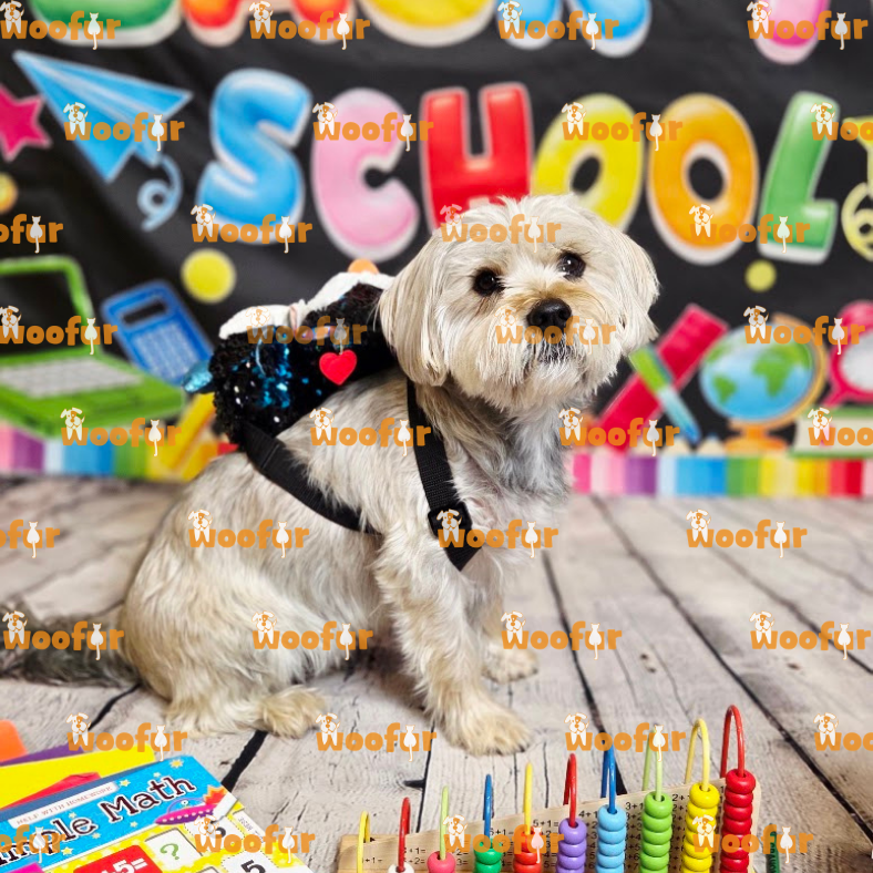 Woofur Daycare Event Photos