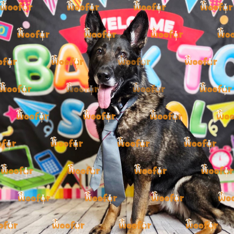 Woofur Daycare Event Photos