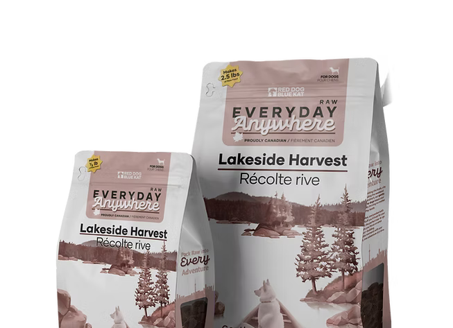 RDBK - Everyday Anywhere - Lakeside Harvest